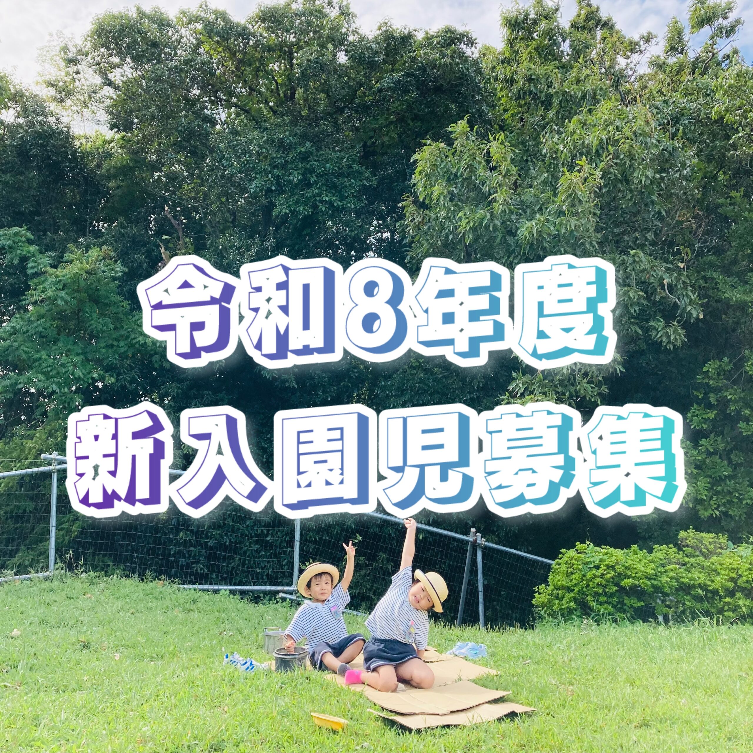 🌸令和8年度🌸新入園児募集について🐤